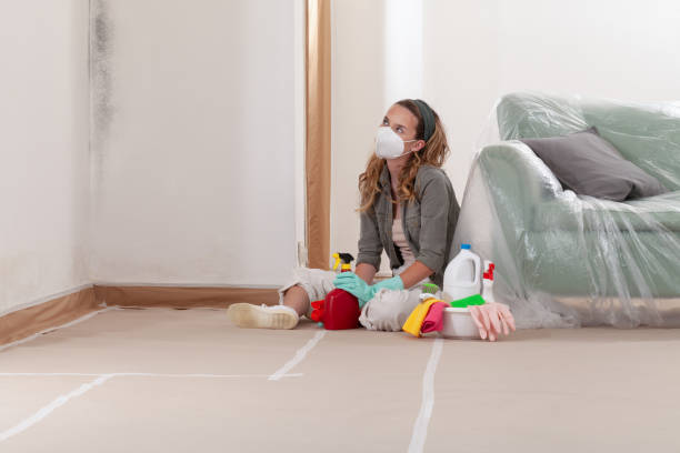 Reliable Mold Inspection contractor in Washington, WA by WQB Mold Removal